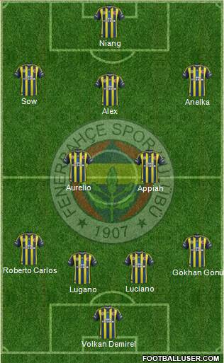Fenerbahçe SK Formation 2013