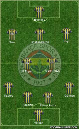 Fenerbahçe SK Formation 2013