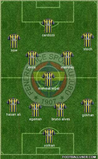 Fenerbahçe SK Formation 2013