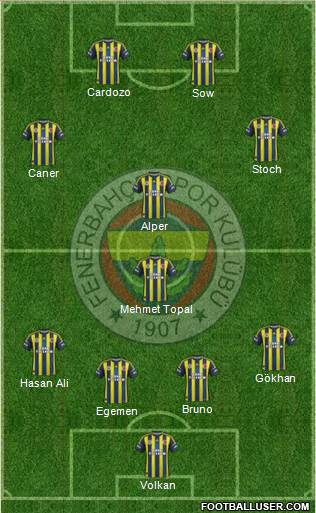 Fenerbahçe SK Formation 2013