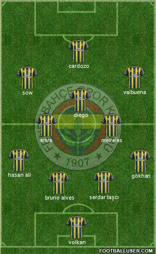 Fenerbahçe SK Formation 2013
