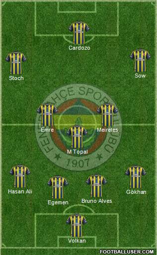 Fenerbahçe SK Formation 2013