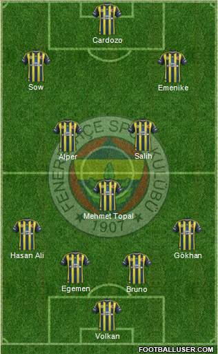 Fenerbahçe SK Formation 2013