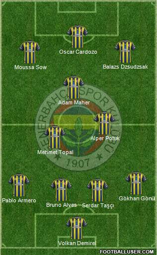 Fenerbahçe SK Formation 2013