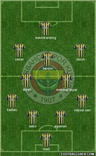 Fenerbahçe SK Formation 2013