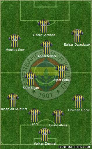 Fenerbahçe SK Formation 2013
