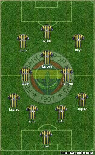 Fenerbahçe SK Formation 2013