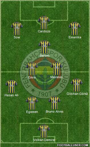 Fenerbahçe SK Formation 2013