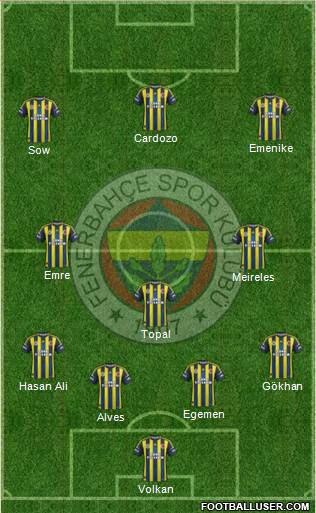 Fenerbahçe SK Formation 2013