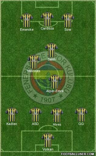Fenerbahçe SK Formation 2013