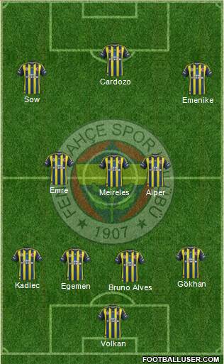 Fenerbahçe SK Formation 2013