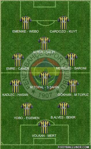 Fenerbahçe SK Formation 2013