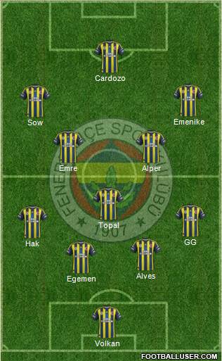 Fenerbahçe SK Formation 2013