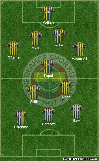 Fenerbahçe SK Formation 2013