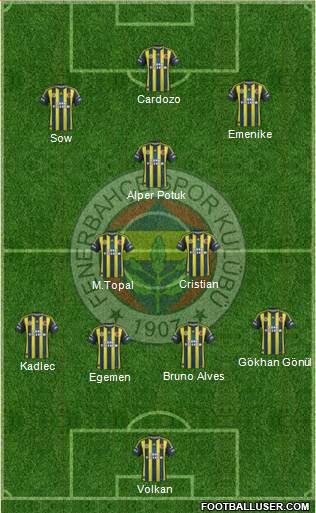 Fenerbahçe SK Formation 2013