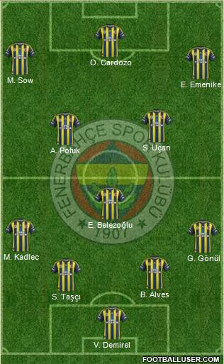 Fenerbahçe SK Formation 2013
