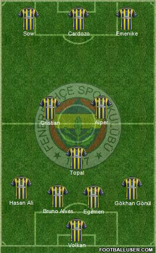 Fenerbahçe SK Formation 2013