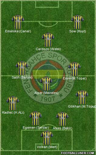 Fenerbahçe SK Formation 2013