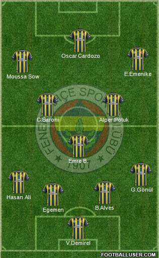Fenerbahçe SK Formation 2013