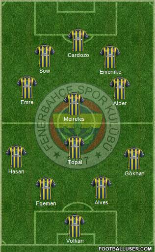 Fenerbahçe SK Formation 2013