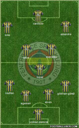 Fenerbahçe SK Formation 2013
