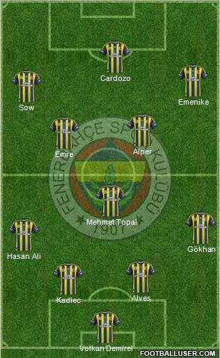Fenerbahçe SK Formation 2013