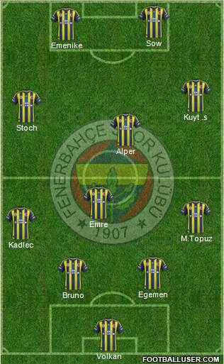 Fenerbahçe SK Formation 2013