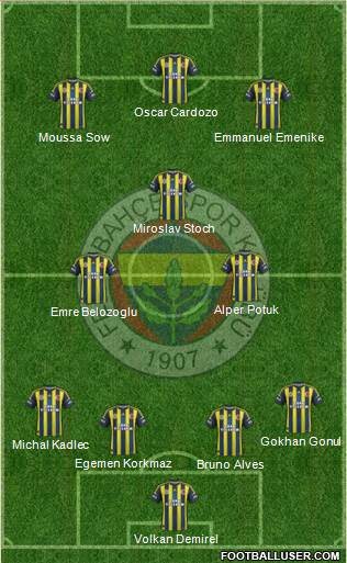 Fenerbahçe SK Formation 2013