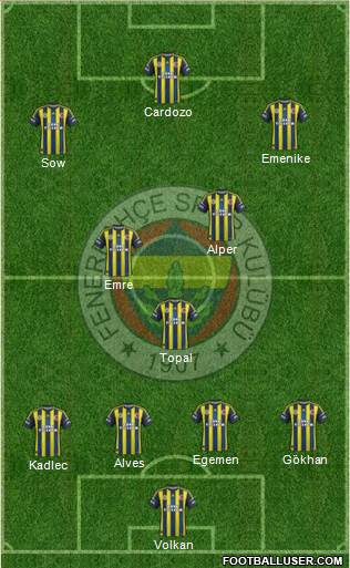 Fenerbahçe SK Formation 2013