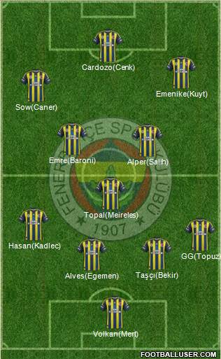 Fenerbahçe SK Formation 2013