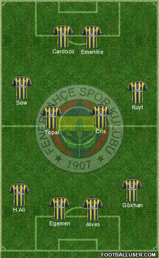 Fenerbahçe SK Formation 2013