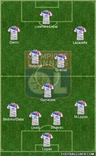 Olympique Lyonnais Formation 2013