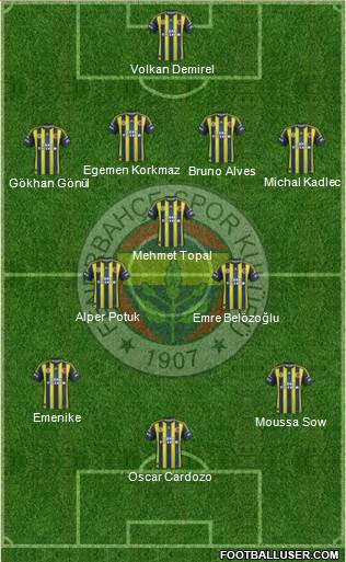Fenerbahçe SK Formation 2013