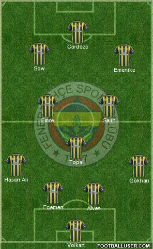 Fenerbahçe SK Formation 2013