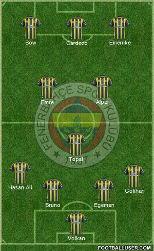 Fenerbahçe SK Formation 2013