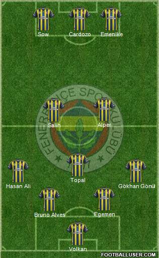 Fenerbahçe SK Formation 2013