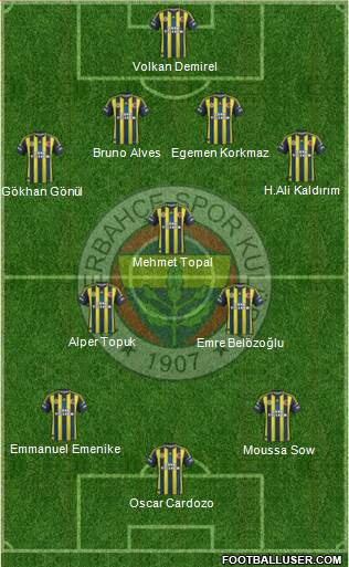 Fenerbahçe SK Formation 2013
