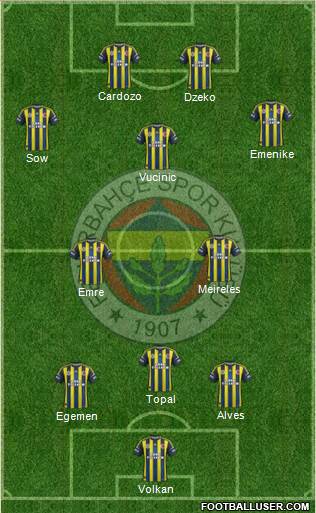 Fenerbahçe SK Formation 2013