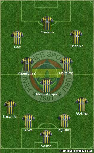 Fenerbahçe SK Formation 2013