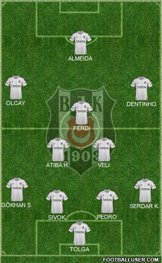 Besiktas JK Formation 2013