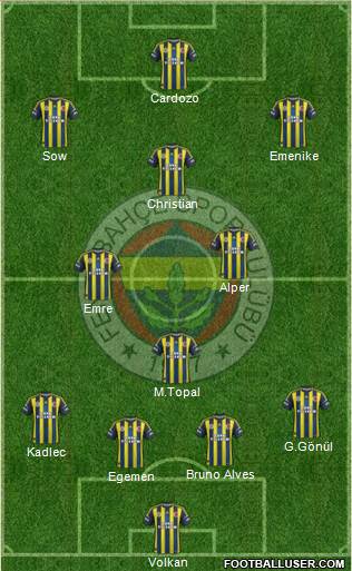 Fenerbahçe SK Formation 2013