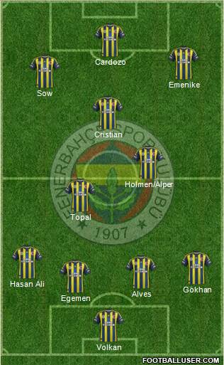 Fenerbahçe SK Formation 2013