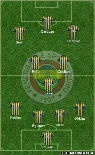 Fenerbahçe SK Formation 2013