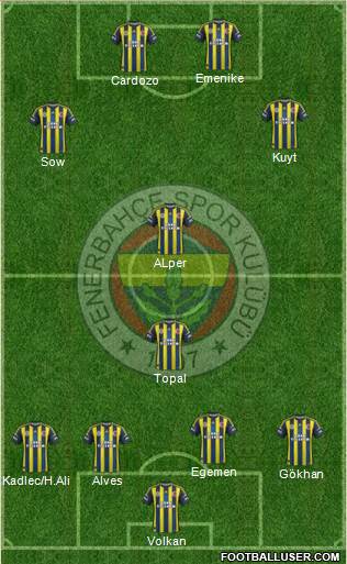 Fenerbahçe SK Formation 2013