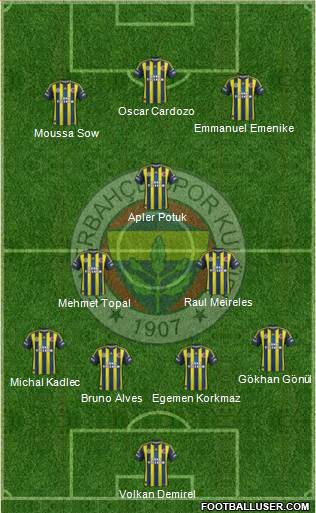 Fenerbahçe SK Formation 2013