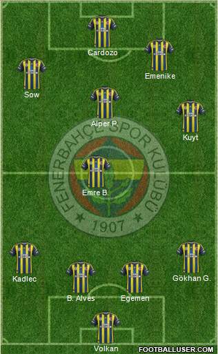 Fenerbahçe SK Formation 2013