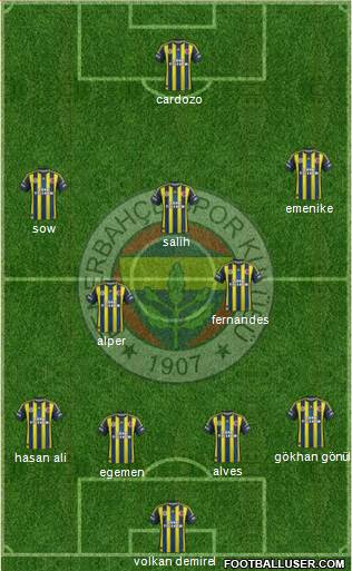 Fenerbahçe SK Formation 2013