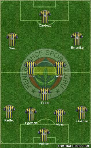Fenerbahçe SK Formation 2013