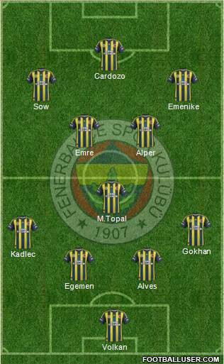 Fenerbahçe SK Formation 2013