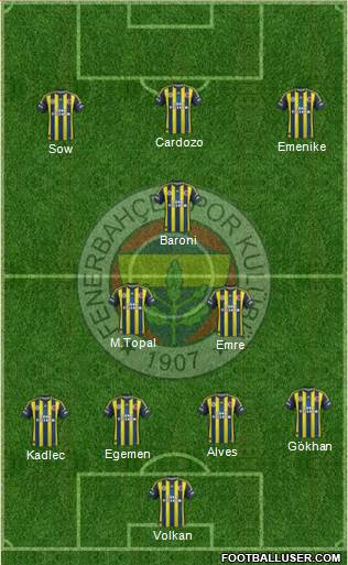 Fenerbahçe SK Formation 2013